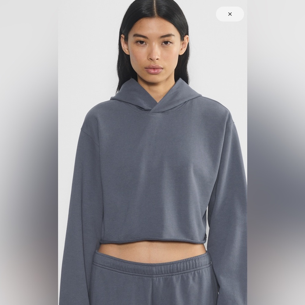 Aritzia vintage navy Cropped Hoodie
